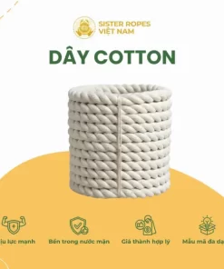 Dây cotton
