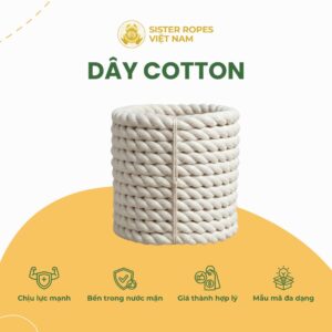 Dây cotton