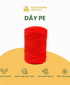 day pe