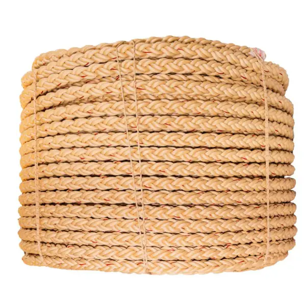 Dây bính chì Cóc Vàng - Sister Ropes Việt Nam