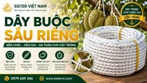 Dây buộc sầu riêng: Chọn dây thế nào để chắc, bền và hạn chế đứt tuột?