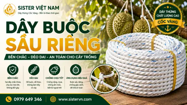 Dây buộc sầu riêng: Chọn dây thế nào để chắc, bền và hạn chế đứt tuột?