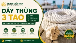 Dây thừng 3 tao là gì? Ứng dụng trong nông nghiệp, ngư nghiệp và chằng buộc