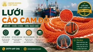 Lưới cào cam đỏ: Đặc điểm, ứng dụng và cách chọn lưới phù hợp