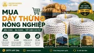 Mua dây thừng nông ngư nghiệp ở đâu uy tín? Gợi ý chọn dây theo nhu cầu sử dụng